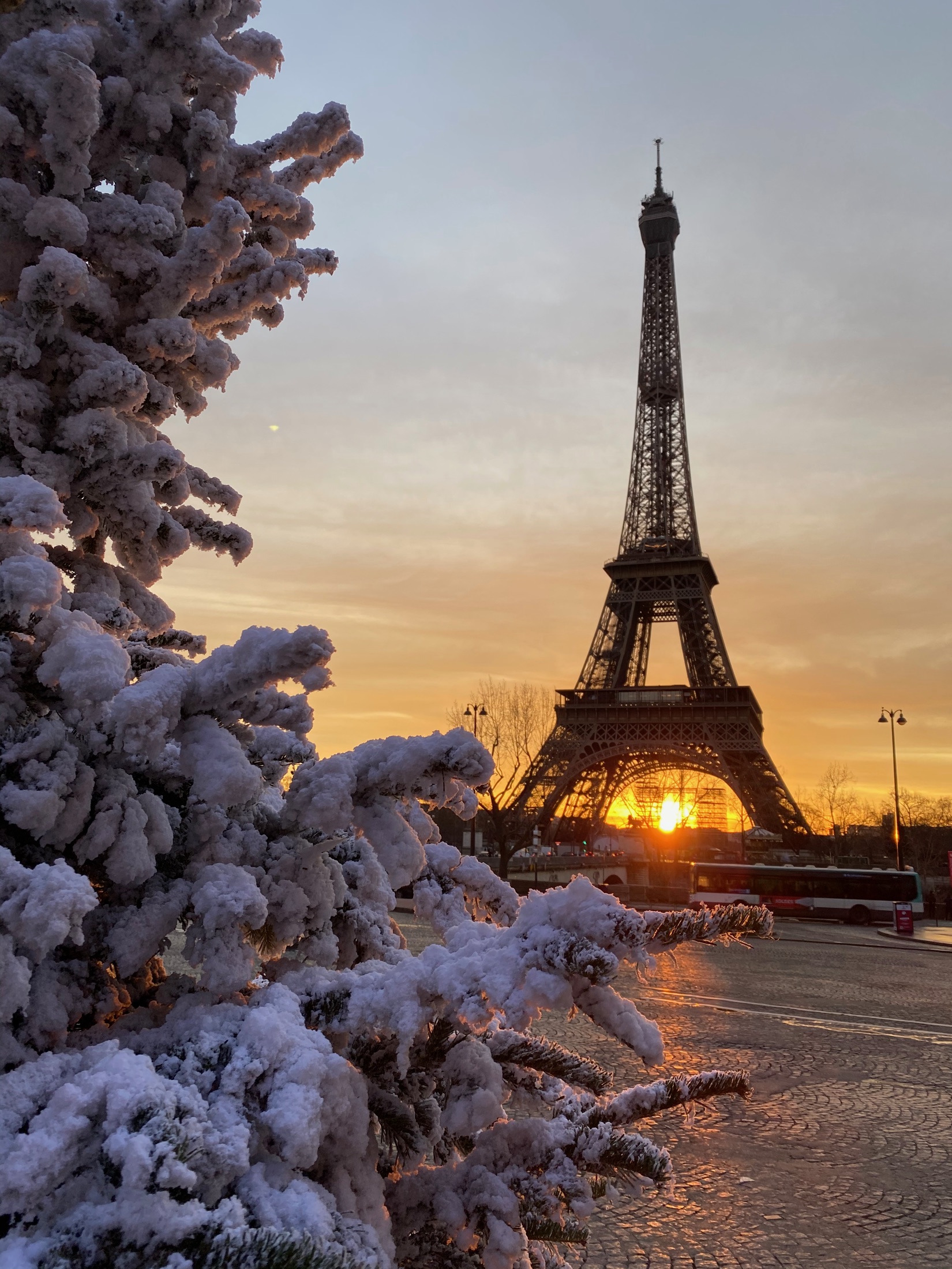 Eiffel Tower in winter sunset light with snow on tree branches