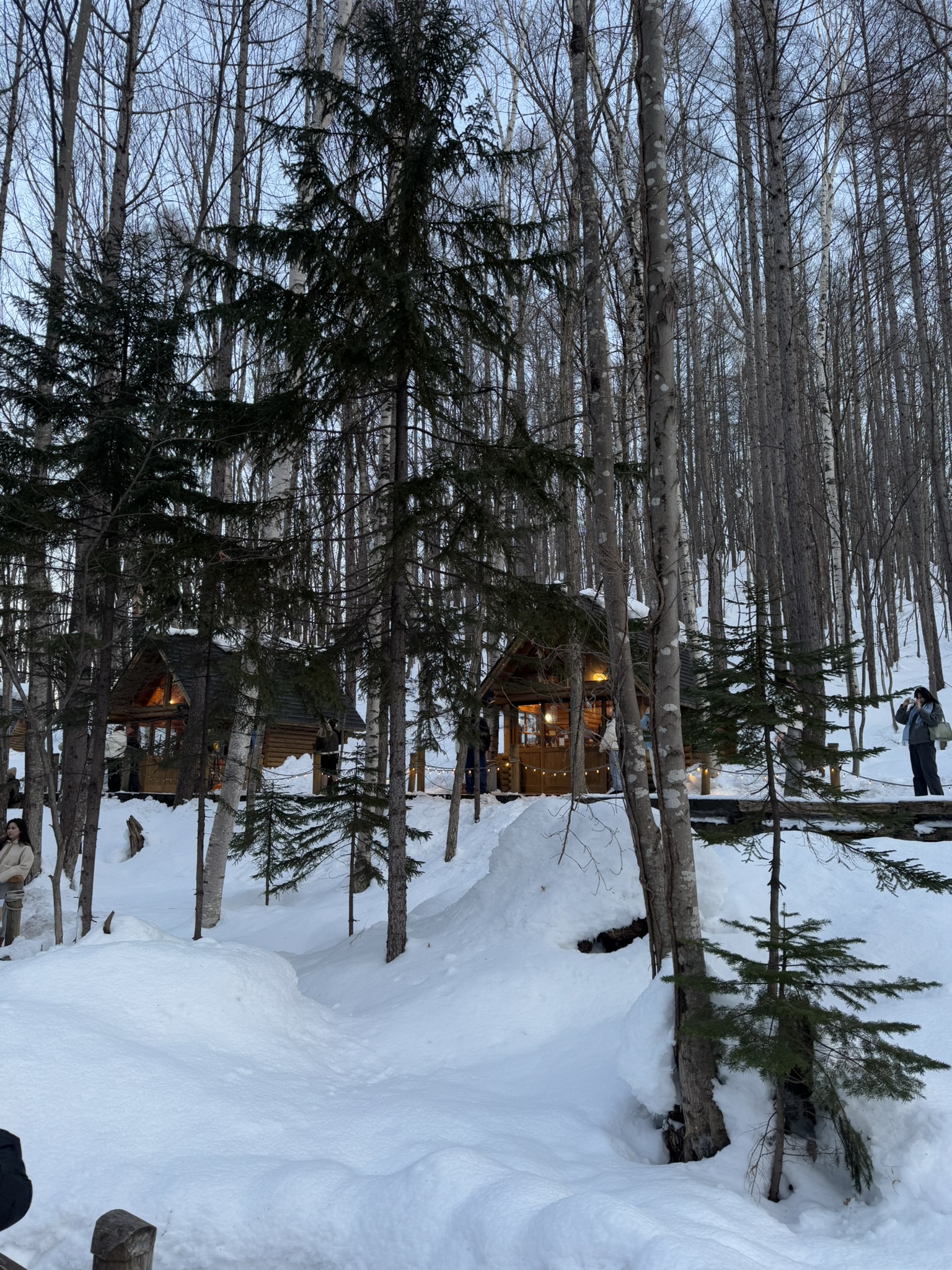 Wooden cabins glowing among snowy trees at Ningle Terrace