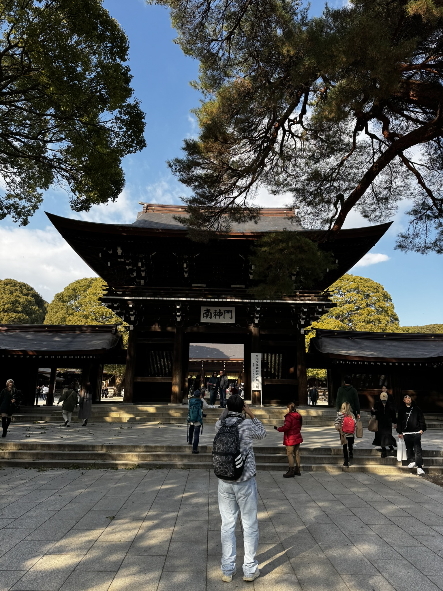 Meiji Jingu south gate framed by trees and blue sky