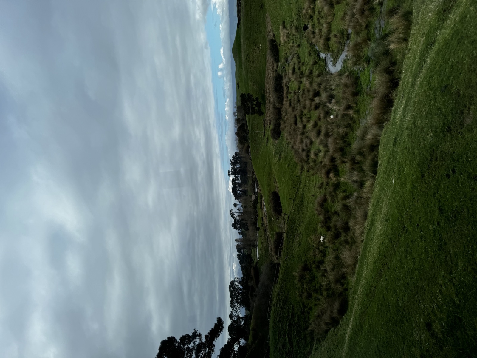 Green Hobbiton hillside with a winding path in Matamata
