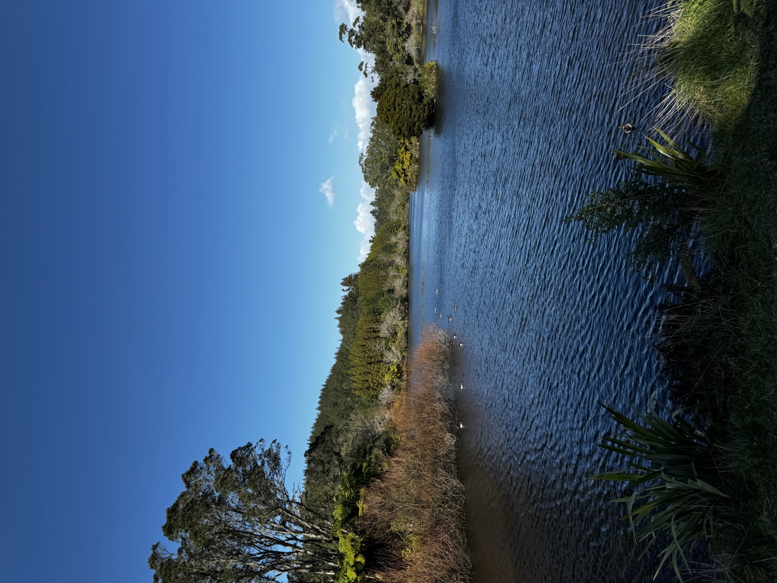 Blue lake and green shoreline in New Plymouth