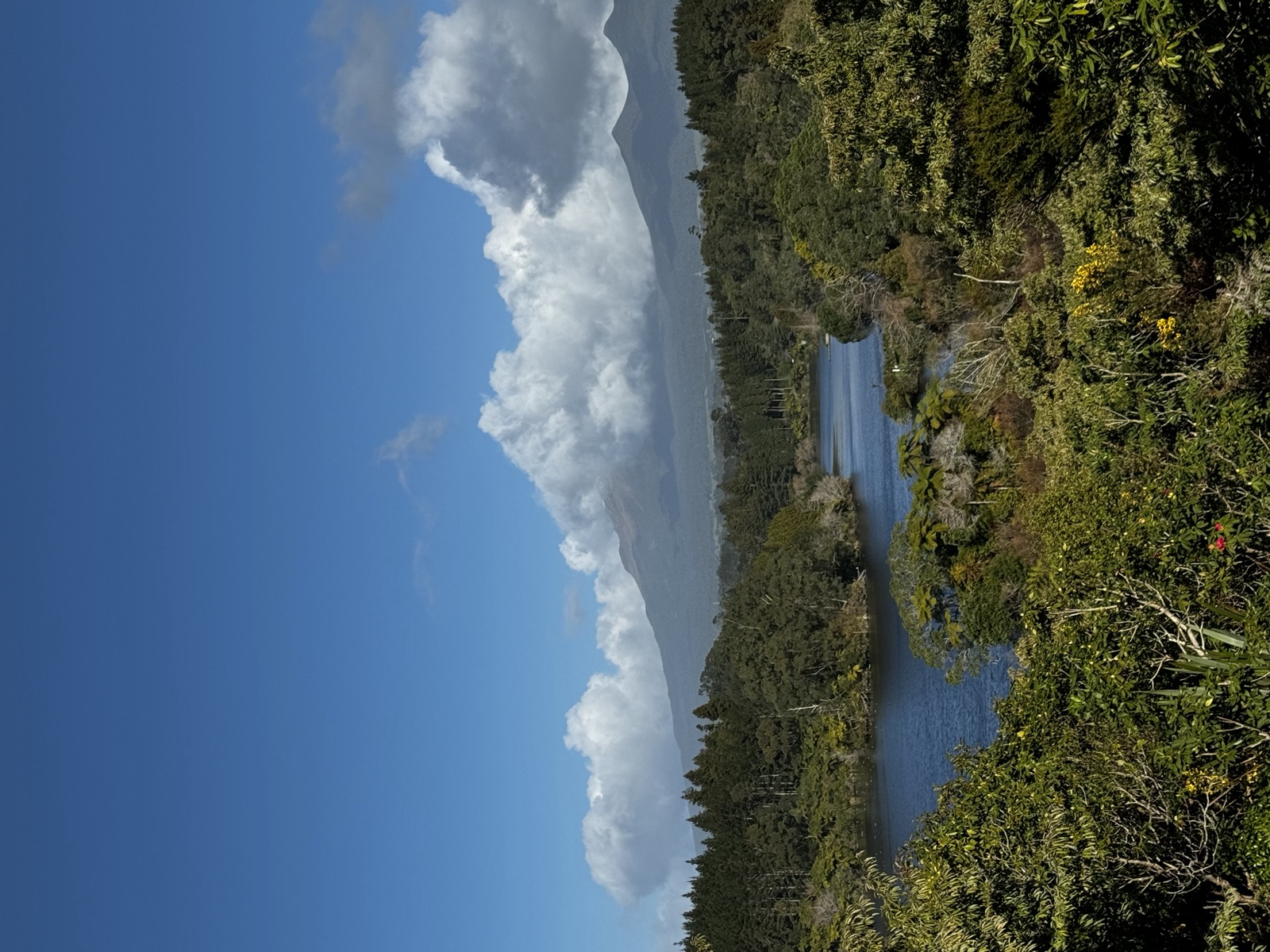 Mount Taranaki seen beyond a lake and green trees