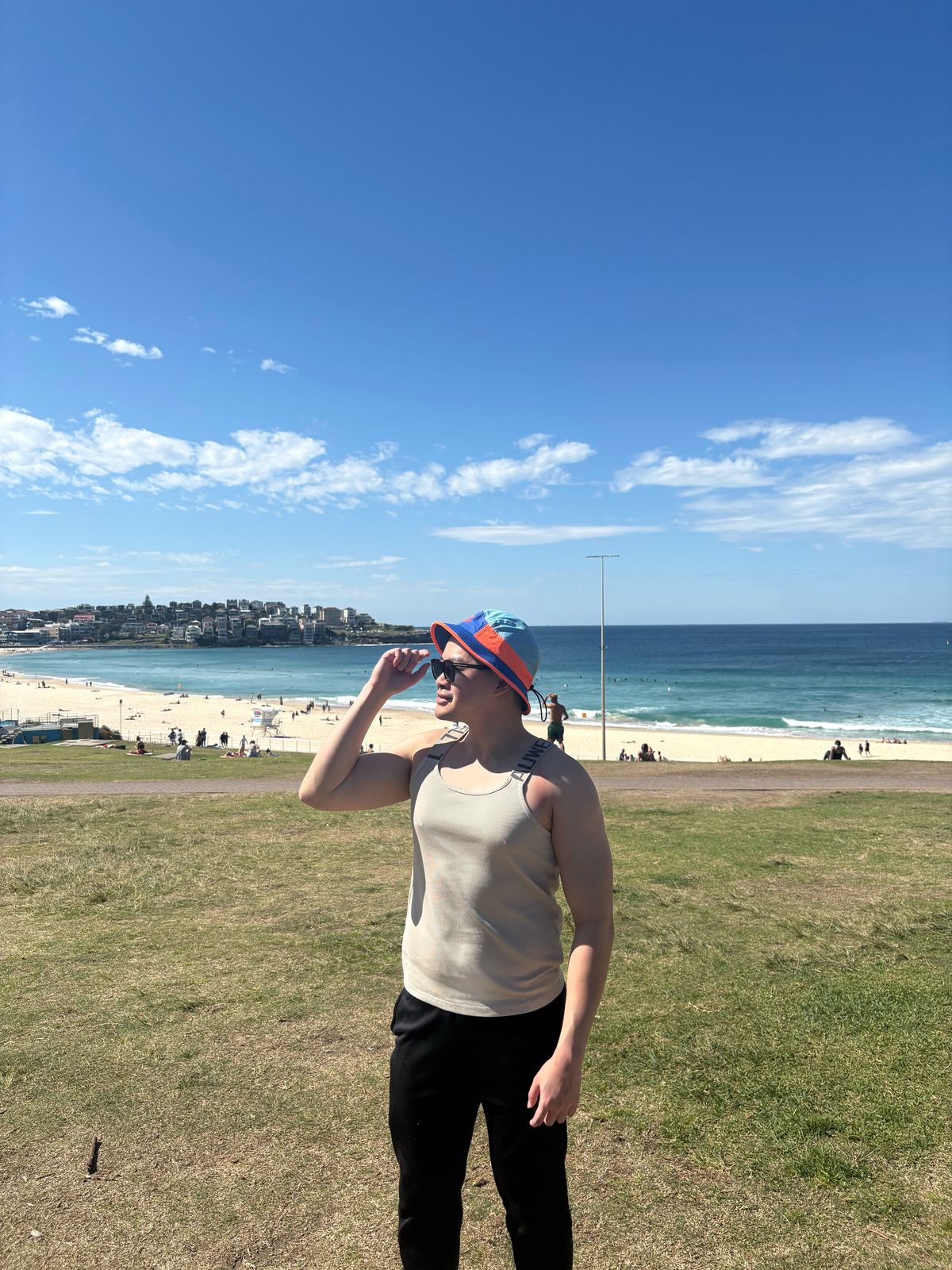 Bondi Beach seen from the grass above, with sand and blue water beyond