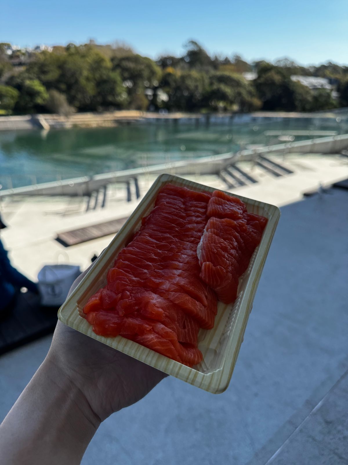 Tray of sliced salmon sashimi held up beside the water
