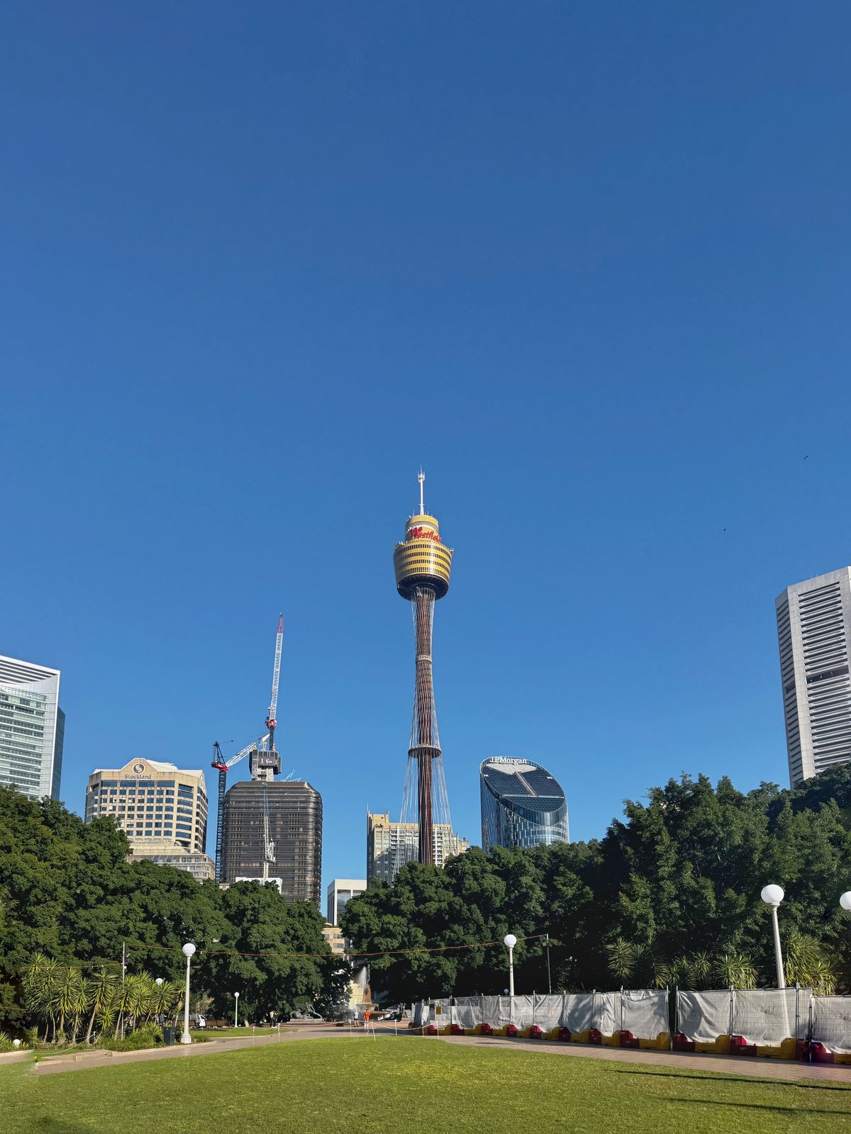Sydney Tower rising above trees and lawn in Hyde Park under a clear sky