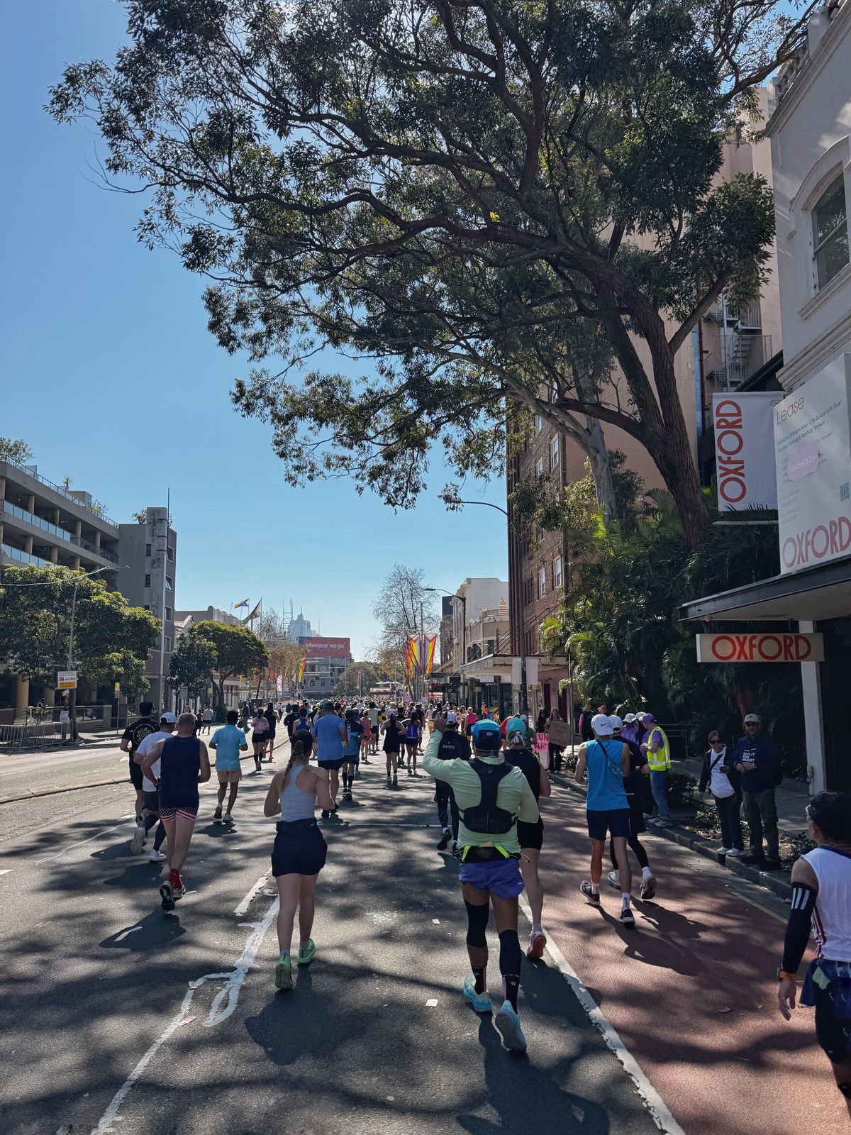 Runners spread across a closed Sydney street under trees in bright sun