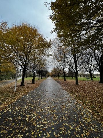 Autumn tree-lined path in Glasgow