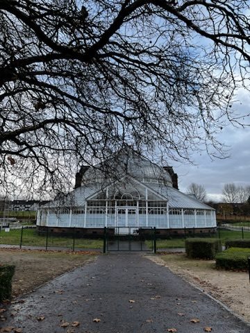 Glasgow glasshouse framed by bare branches